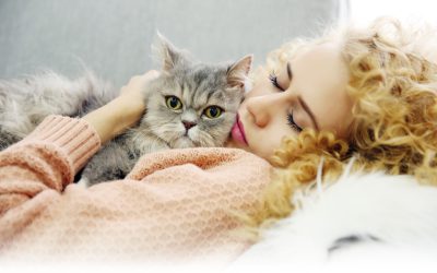 ¿DNI genético obligatorio para animales?