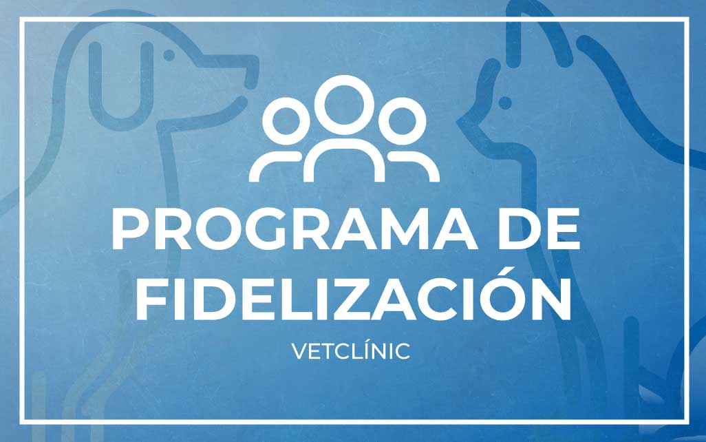 formacion-y-fidelizacion
