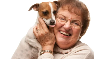 La edad geriátrica en nuestras mascotas