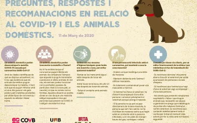 Información sobre el Coronavirus covid-19